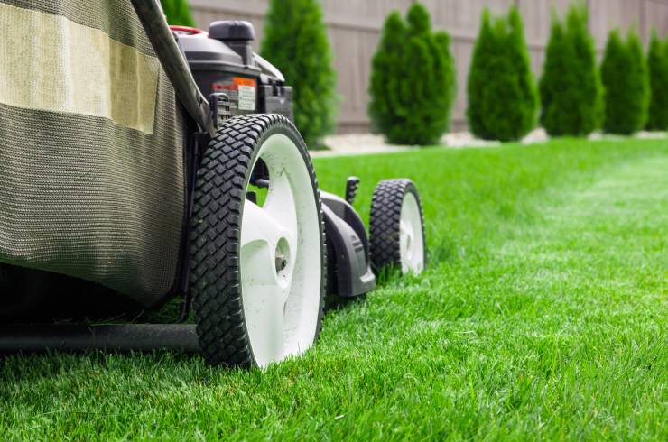 Perez Pro Lawn Cervices