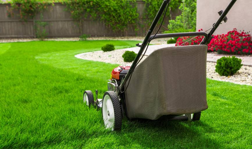 Lawn Mowing