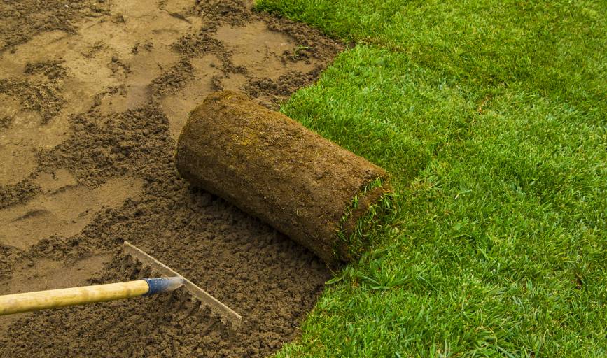Sod Installation